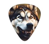 Guitar Picks Variety Pack - Smooth Edges, Durable & Clear Patterns - 3 Thickness Options cute husky