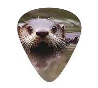 Guitar Picks Variety Pack - Smooth Edges, Durable & Clear Patterns - 3 Thickness Options cute water tower