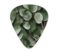 Guitar Picks Variety Pack - Smooth Edges, Durable & Clear Patterns - 3 Thickness Options Eucalyptus Leaves