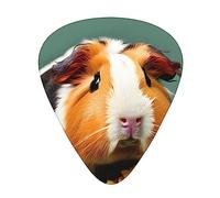Guitar Picks Variety Pack - Smooth Edges, Durable & Clear Patterns - 3 Thickness Options flower guinea pig