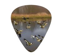 Guitar Picks Variety Pack - Smooth Edges, Durable & Clear Patterns - 3 Thickness Options Hunting Flying Wild Ducks