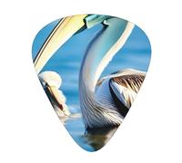 Guitar Picks Variety Pack - Smooth Edges, Durable & Clear Patterns - 3 Thickness Options Pelican Bird Blue Sea Sky