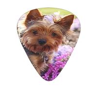 Guitar Picks,Yorkshire Terrier Dog For Acoustic Guitar, Electric Guitar, Bass,Ukulele Three Size(12 Pack)