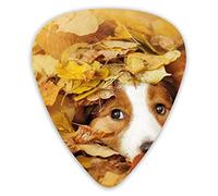 Guitar Picks Young Red Border Collie Premium Picks Sampler Unique Guitar Gift (12 Count)