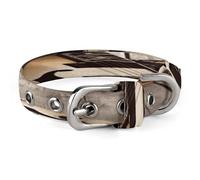 Guitar Pictures Pet Collar, Adjustable Dog Collars with Buckle Stainless Steel D-Ring, Comfortable Collar for Small Medium Dogs and Cats