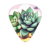 Guitar plectrums 12-pack Comfortable in the hand with smooth edges Three thicknesses to match Cartoon Succulents Prints