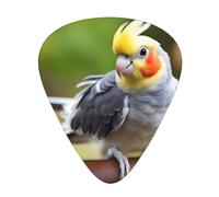 Guitar plectrums 12-pack Comfortable in the hand with smooth edges Three thicknesses to match Cute Cockatiel Picture