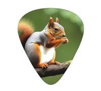 Guitar plectrums 12-pack Comfortable in the hand with smooth edges Three thicknesses to match Cute Squirrel Prints