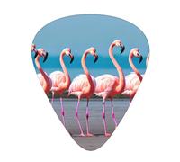 Guitar plectrums 12-pack Comfortable in the hand with smooth edges Three thicknesses to match Four Flamingos Prints