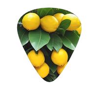 Guitar plectrums 12-pack Comfortable in the hand with smooth edges Three thicknesses to match Fresh Tropical Lemons Prints
