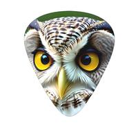 Guitar plectrums 12-pack Comfortable in the hand with smooth edges Three thicknesses to match Funny Owl Prints