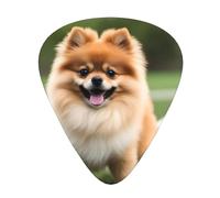 Guitar plectrums 12-pack Comfortable in the hand with smooth edges Three thicknesses to match Happy short-haired pomeranian Prints