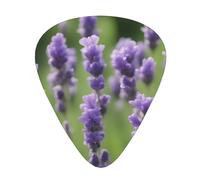 Guitar plectrums 12-pack Comfortable in the hand with smooth edges Three thicknesses to match Lavender flower Picture