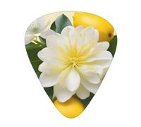 Guitar plectrums 12-pack Comfortable in the hand with smooth edges Three thicknesses to match Lemon and Flower Picture
