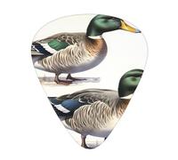 Guitar plectrums 12-pack Comfortable in the hand with smooth edges Three thicknesses to match Mallard Ducks Picture