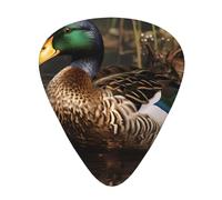 Guitar plectrums 12-pack Comfortable in the hand with smooth edges Three thicknesses to match mallard duck Picture