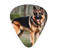 Guitar plectrums 12-pack Comfortable in the hand with smooth edges Three thicknesses to match Maple German Shepherd Dog Picture