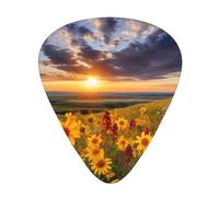 Guitar plectrums 12-pack Comfortable in the hand with smooth edges Three thicknesses to match Montana prairie wildflowers Picture