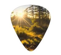 Guitar plectrums 12-pack Comfortable in the hand with smooth edges Three thicknesses to match Morning Sunlight in Wilderness Picture
