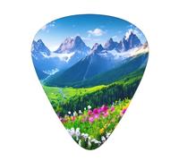 Guitar plectrums 12-pack Comfortable in the hand with smooth edges Three thicknesses to match Mountain Floral landscape Picture