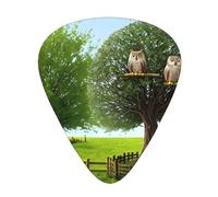 Guitar plectrums 12-pack Comfortable in the hand with smooth edges Three thicknesses to match Owl Sitting Tree Fence Picture