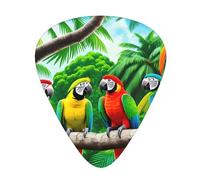 Guitar plectrums 12-pack Comfortable in the hand with smooth edges Three thicknesses to match Parrot Birds and Tropical Tree Picture