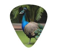 Guitar plectrums 12-pack Comfortable in the hand with smooth edges Three thicknesses to match Peacocks Prints