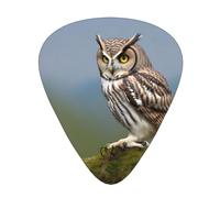 Guitar plectrums 12-pack Comfortable in the hand with smooth edges Three thicknesses to match Peaks Owl Picture