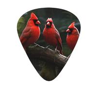 Guitar plectrums 12-pack Comfortable in the hand with smooth edges Three thicknesses to match Red Birds Fauna Wild Prints