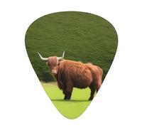 Guitar plectrums 12-pack Comfortable in the hand with smooth edges Three thicknesses to match Scottish Highland Cow Prints