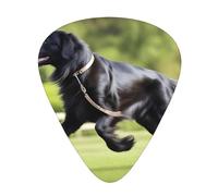 Guitar plectrums 12-pack Comfortable in the hand with smooth edges Three thicknesses to match Trotting Flat Coated Retrievers Paw Picture