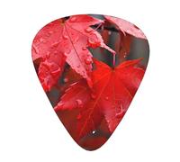 Guitar plectrums 12-pack Comfortable in the hand with smooth edges Three thicknesses to match Vermont maple leaves are red Prints