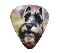 Guitar plectrums 12-pack Comfortable in the hand with smooth edges Three thicknesses to match Well-behaved schnauzer Picture