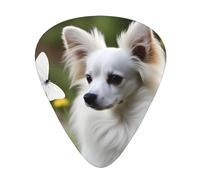 Guitar plectrums 12-pack Comfortable in the hand with smooth edges Three thicknesses to match White Papillon Picture