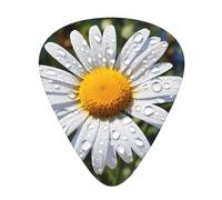 Guitar plectrums 12-pack Comfortable in the hand with smooth edges Three thicknesses to match Wild Daisy Flower Prints