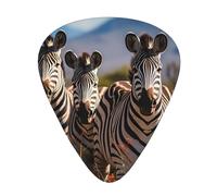 Guitar plectrums 12-pack Comfortable in the hand with smooth edges Three thicknesses to match Zebras on South Africa Picture