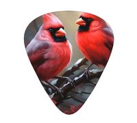 Guitar plectrums 12-piece set Comfortable in the hand with smooth edges Three thicknesses to match beautiful red Birds Prints