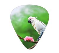 Guitar plectrums 12-piece set Comfortable in the hand with smooth edges Three thicknesses to match Beautiful Cockatoo Bird Flower Pattern