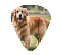 Guitar plectrums 12-piece set Comfortable in the hand with smooth edges Three thicknesses to match cute golden retriever Picture