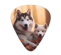 Guitar plectrums 12-piece set Comfortable in the hand with smooth edges Three thicknesses to match Cute Husky Dogs Prints