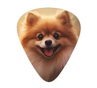 Guitar plectrums 12-piece set Comfortable in the hand with smooth edges Three thicknesses to match cute pomeranian Pattern