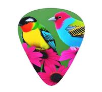 Guitar plectrums 12-piece set Comfortable in the hand with smooth edges Three thicknesses to match Colorful Flowers Bird Prints