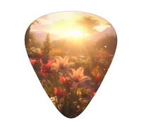 Guitar plectrums 12-piece set Comfortable in the hand with smooth edges Three thicknesses to match Flowers in the garden at sunset Pattern