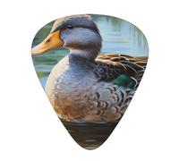 Guitar plectrums 12-piece set Comfortable in the hand with smooth edges Three thicknesses to match Hd Oil Painting Duck Prints