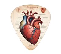 Guitar plectrums 12-piece set Comfortable in the hand with smooth edges Three thicknesses to match Human Anatomy Heart Chart Picture
