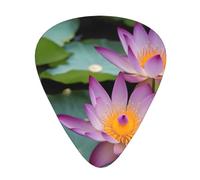Guitar plectrums 12-piece set Comfortable in the hand with smooth edges Three thicknesses to match Lotus Flower Prints