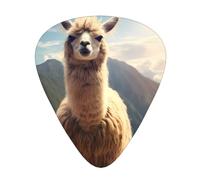 Guitar plectrums 12-piece set Comfortable in the hand with smooth edges Three thicknesses to match Llama Prints