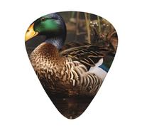 Guitar plectrums 12-piece set Comfortable in the hand with smooth edges Three thicknesses to match mallard duck Prints