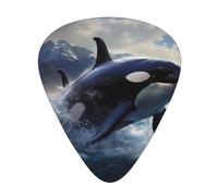 Guitar plectrums 12-piece set Comfortable in the hand with smooth edges Three thicknesses to match Orca Killer Whale Picture