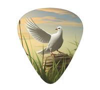 Guitar plectrums 12-piece set Comfortable in the hand with smooth edges Three thicknesses to match Pigeons on the grassland Prints